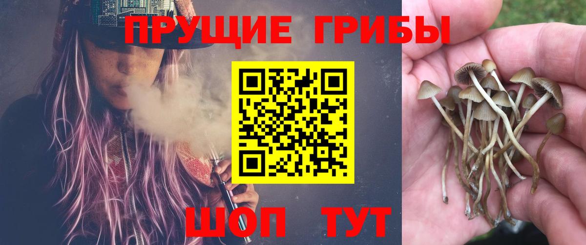 Псилоцибиновые грибы GOLDEN TEACHER  Вход с VPN  Псилоцибиновые грибы мухоморы  Калининград 